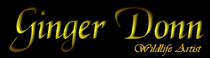 Ginger Donn Wildlife Art