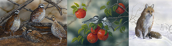 Ginger Donn Wildlife Artwork samples